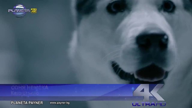 Промоо- Соня Немска - Като стъкло, 2014