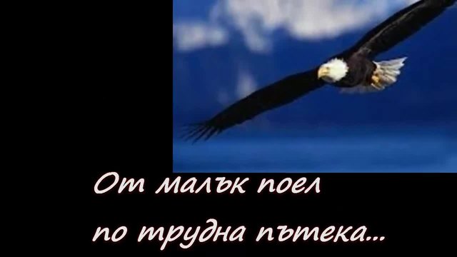 ОРЕЛЪТ... ...(с поезията на oki76 (Иван Иванов)... ...