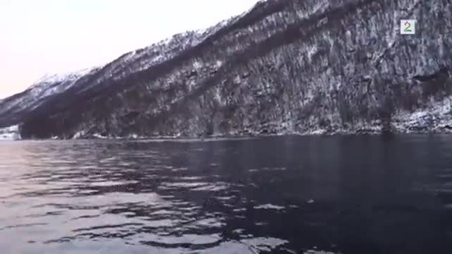 Рибари изненадани остават без дъх, докато група китове изплуват до лодката им !