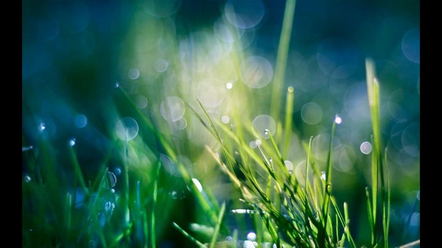 Scorpions - A Moment In A Milion Years