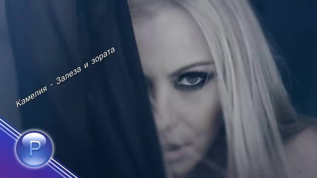 Камелия - Залеза и зората