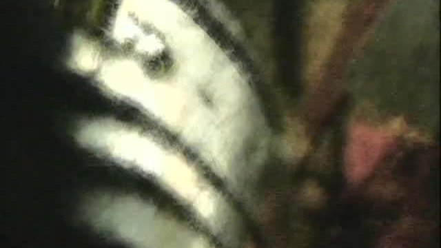 06.Soldiers.Of.The.Pharaoh