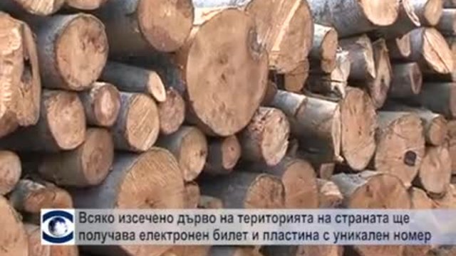 Всяко изсечено дърво на територията на страната вече ще получава електронен билет и пластина с уникален номер