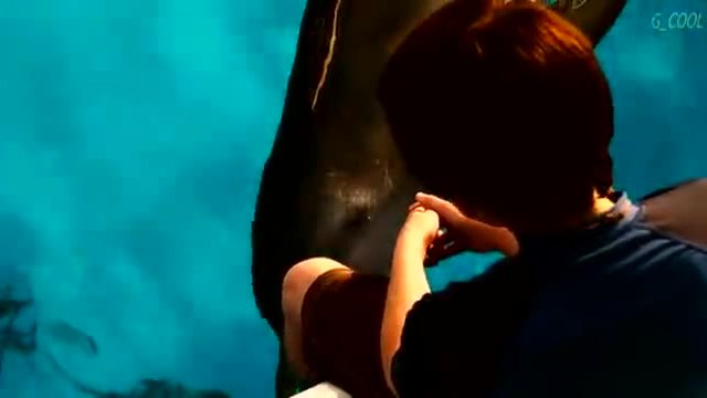 Уинтър Историята на един делфин-част 3