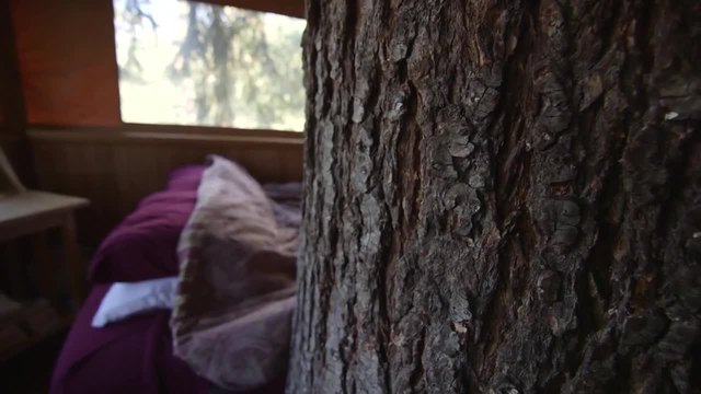 Хора, които строят и живеят в къщи върху дървета - печелят пари от това