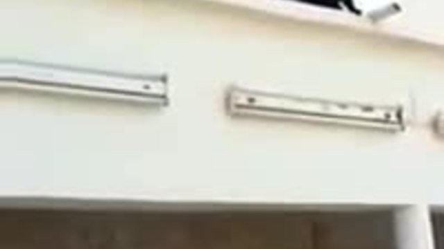 Гълъб надхитрява дебнеща го котка