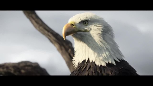 Assassin's Creed 3 - E3 Official Trailer