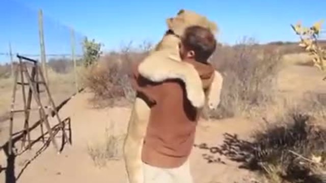 Лъвица прегръща стопанина си