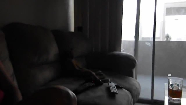 Котка седи на дивана като човек и гледа телевизия