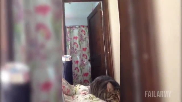 Провали при животните - 2014г.