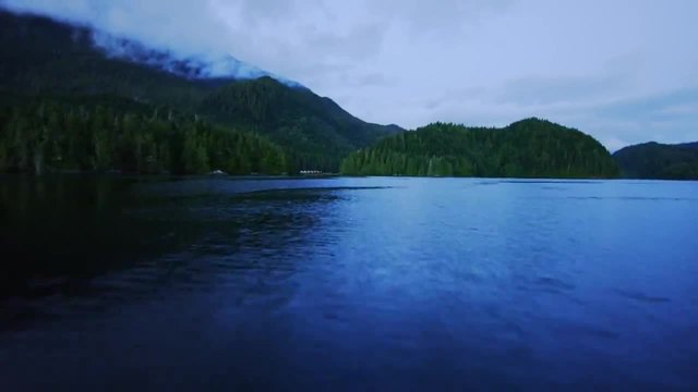 Great Bear Rainforest in 4K - Exploring British Columbia, Canada