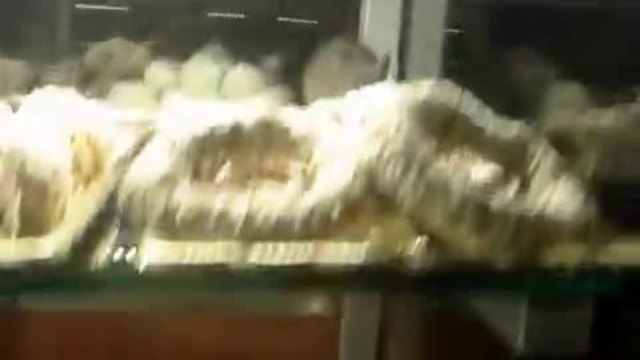 Потрес! Гърци заснеха плъх да се разхожда по десертите в пловдивска сладкарница!