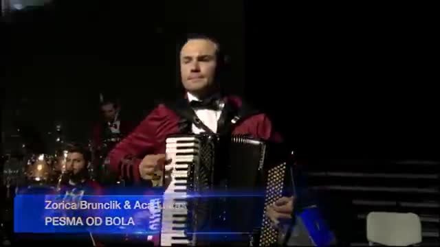 Zorica Brunclik i Aca Lukas - Pesma od bola, Bele ruze  ( Arena 11.11.2014.)