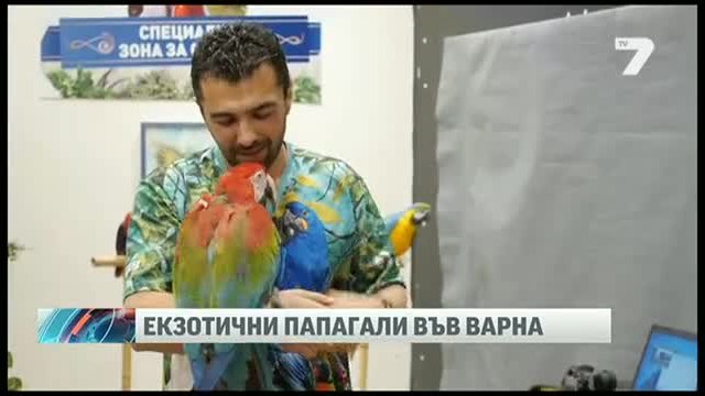 Екзотични папагали кацнаха във Варна