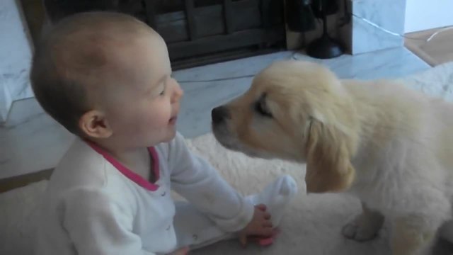 Бебче и кученце в първа среща