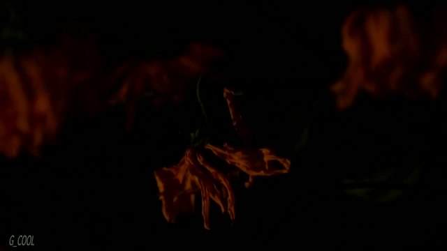 Autumnal - A Tear from a Beast (Official Video)