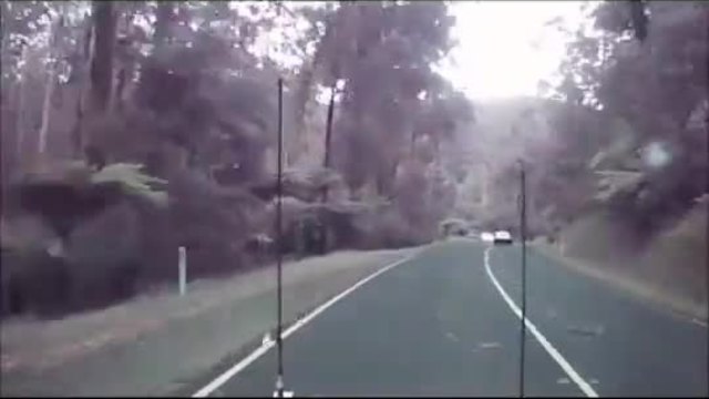 Силен вятър троши дървета на път в Австралия!