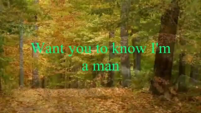 Chicago - Song For You - Песен за теб (lyrics)