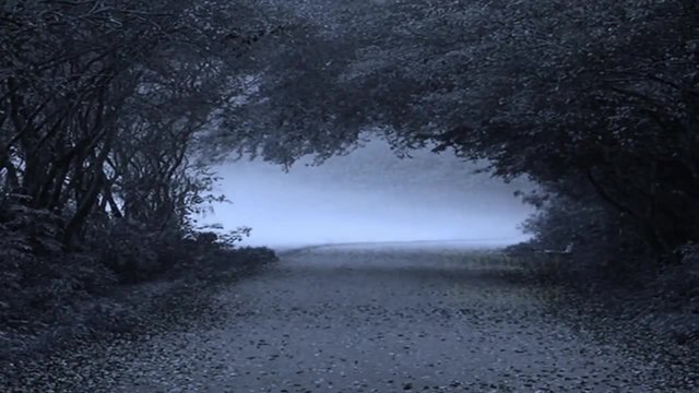 The Beatles - The Long And Winding Road (lyrics)