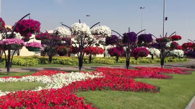 Най-голямата и красива градина в света! - Dubai Miracle Garden