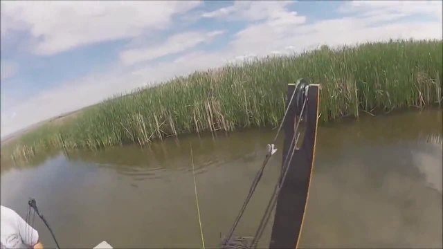 Страхотен риболов с лък !