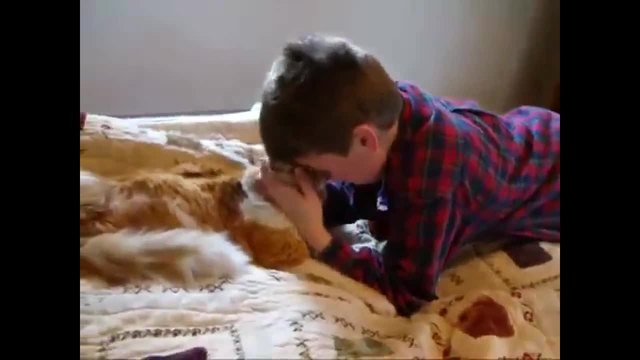 Любовта към животните! Как момченце се зарадва на отдавна изгубеният си котарак