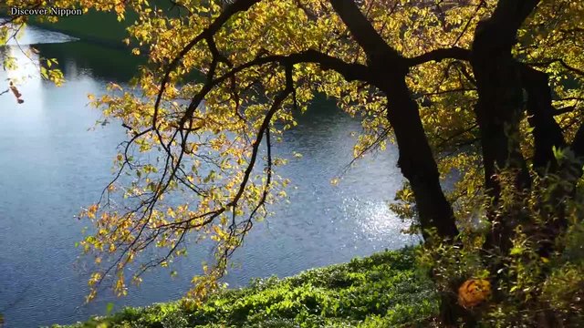 Есенен Токио!