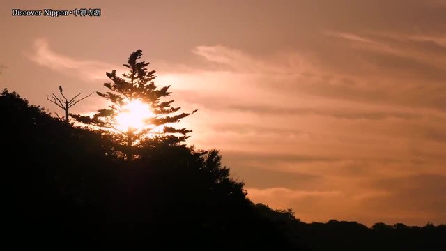 Прекрасната ни природа..