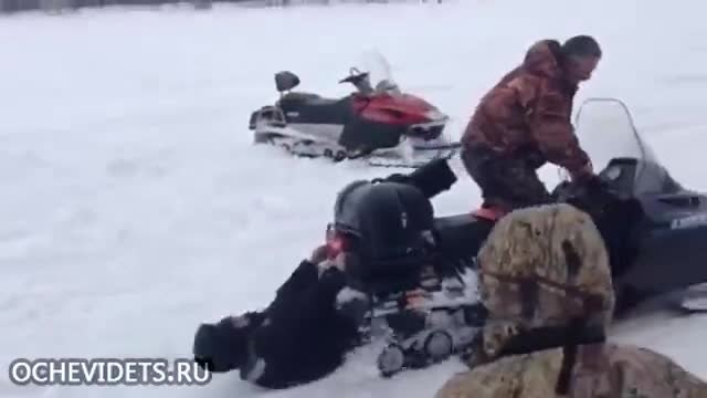 Премия Дарвина. Номинант