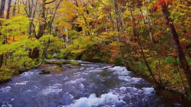 ▶ Breathtaking Autumn in Japan