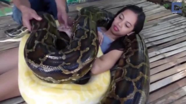 Змийски масаж помага на момиче да преодолее страха си от змии
