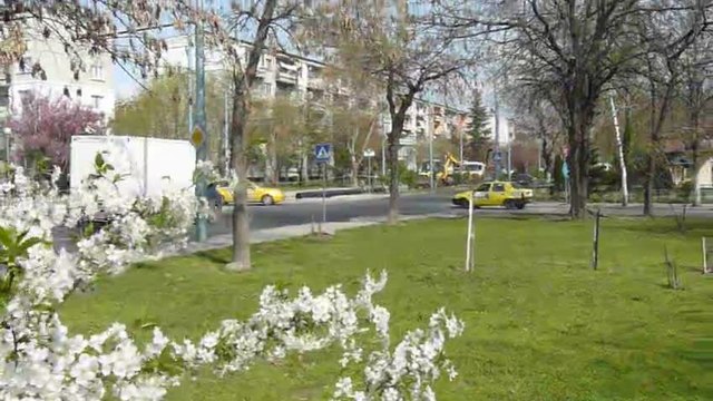 Първа пролет в Пловдив 2015
