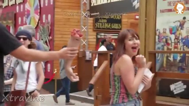 - Funny Videos -