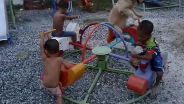 Куче си играе на въртележка с деца