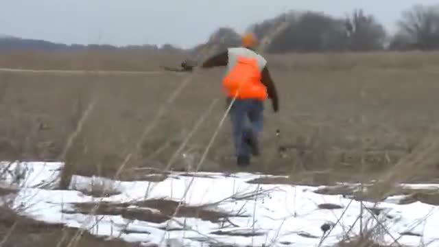 Как се ловят фазани с лък