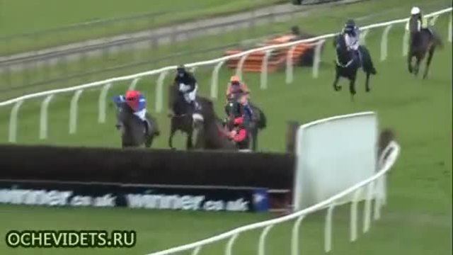 Инцидент при конно състезание