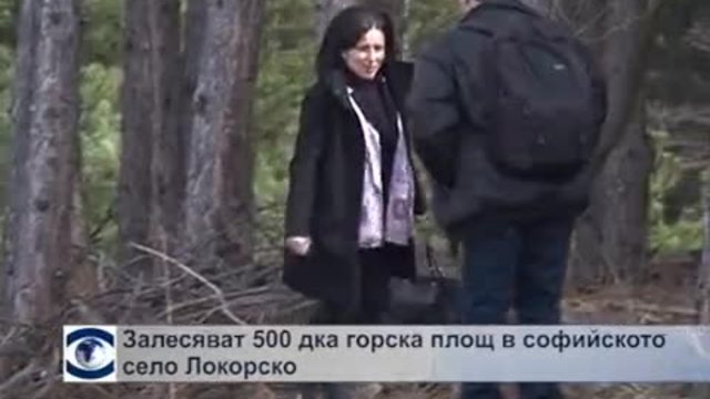 Залесяват 500 декара горска площ в софийското село Локорско