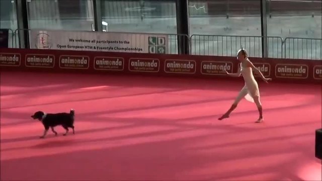 Невероятно! Куче танцува балет с момиче