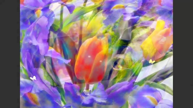 Spring, music and tulips! ... ... (музыка Игорь Двуреченский) ... ...