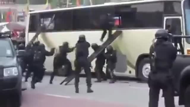 Mavi Kocael - бързи и организирани