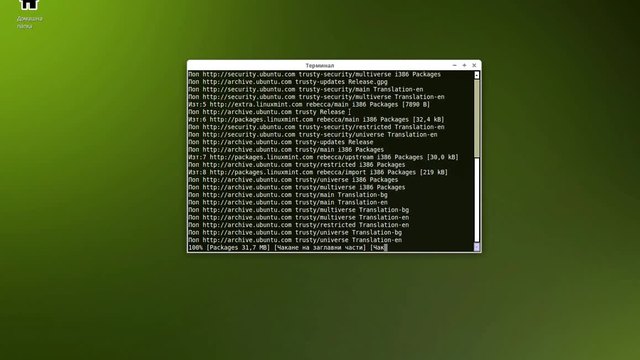 Netbeans - инсталация (Linux Mint / Ubuntu)