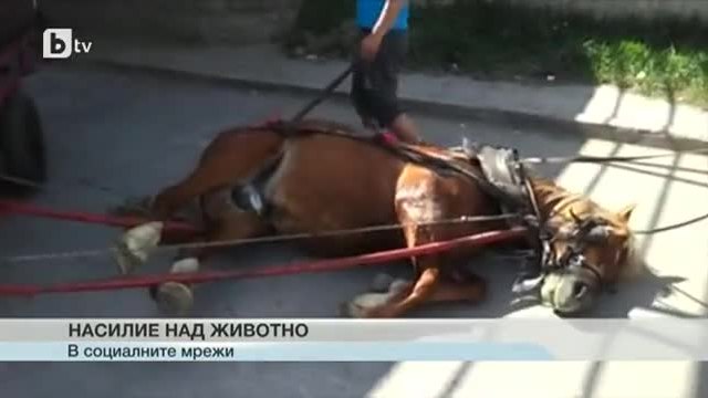 Мъже налагат с верига изтощен кон, за да тегли каруца с желязо