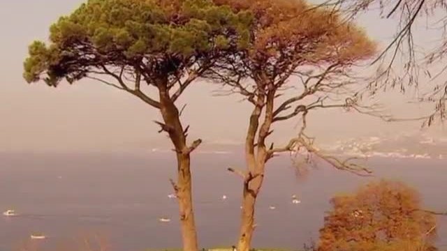 До последен дъх - Епизод 20