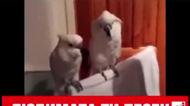 Когато чуе любима музика