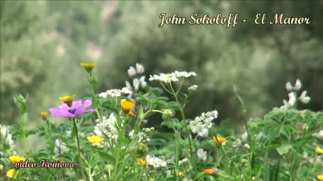 John Sokoloff - El Manor