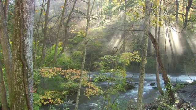 Yiruma - River Flows In You 2015 Реките които се вливат в теб