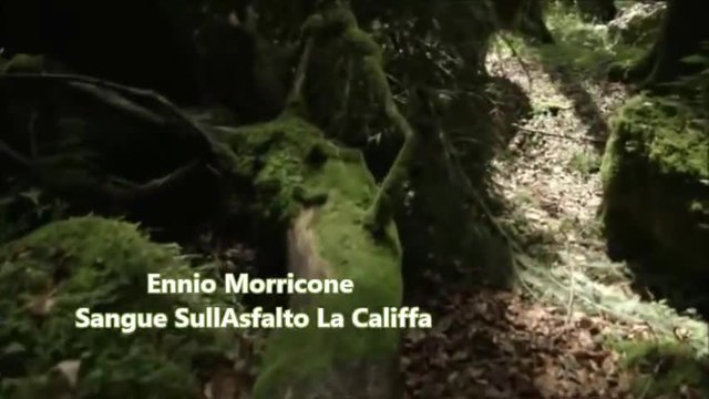 Ennio Morricone - Sangue Sullasfalto La Califfa