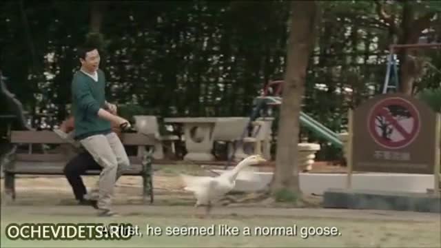 Най-универсалната китайска гъска в света-смях