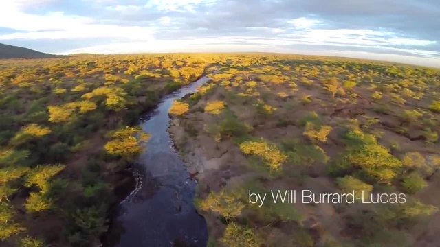 Красотата на Серенгети от високо