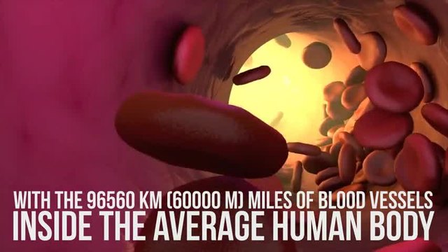 Невероятни факти за човешкото тяло